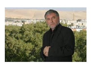 מאיר כהן, ראש עיריית דימונה