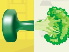 איזו אצה תרצה לקירות המשרד שלך? חוות אצות עירונית הוצגה בקזחסטן אצות במבנה המשרד