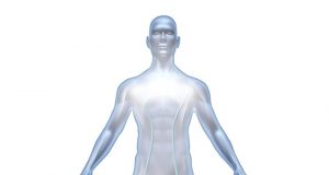 מה לעשות כאשר מועמדים נכשלים בבדיקת הרקע בדיקות רקע למועמדים