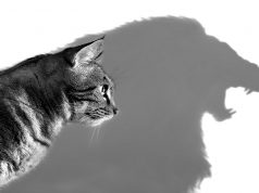 4 דרכים להרגיש יותר ביטחון במקום העבודה ביטחון עצמי