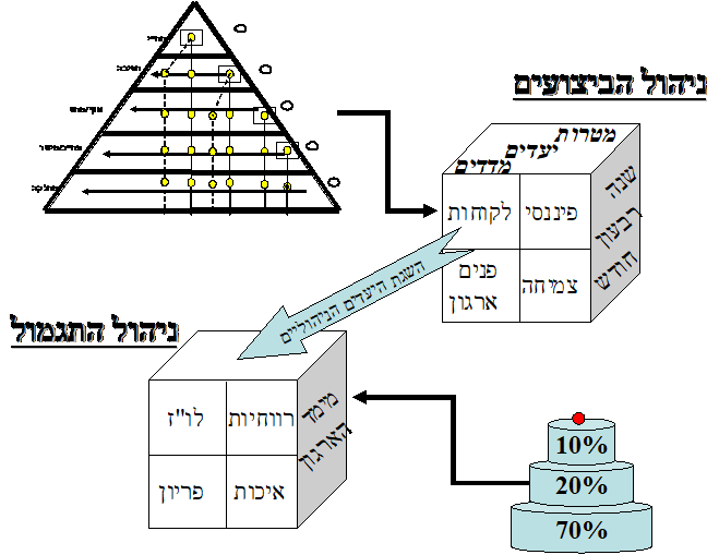 תגמול תלוי ביצועים