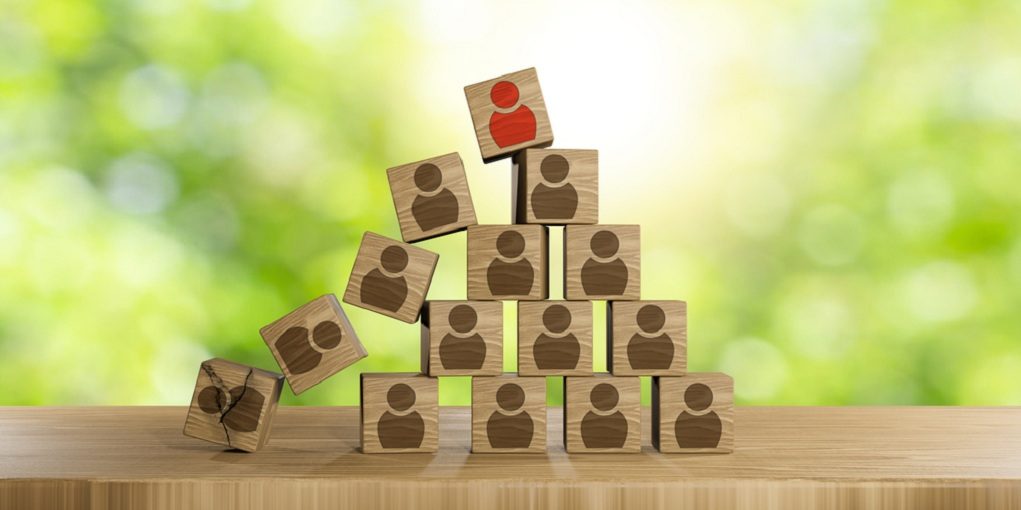 Organization,Structure,,Team,Building,,Recruitment,,Business,Management,And,Human,Resources