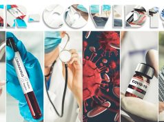 מסרבת להציג תו ירוק או בדיקה שלילית כל 72 שע' ולכן לא תכנס למקום העבודה