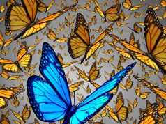 שילוב המובייל כחלק אינטגרלי מהעבודה יכול להגביר את ביצועי הארגון החופש ליזום