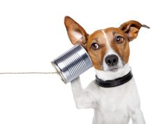 להרגיש קרוב: כיצד "לקרב" אליכם את העובדים מרחוק עבודה מרחוק