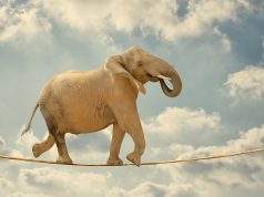 מהם הסיכונים המרכזיים שאורבים למנהלי משאבי אנוש בעידן הנוכחי