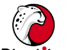 דרושים במשאבי אנוש – Playtika פלייטיקה - לוגו