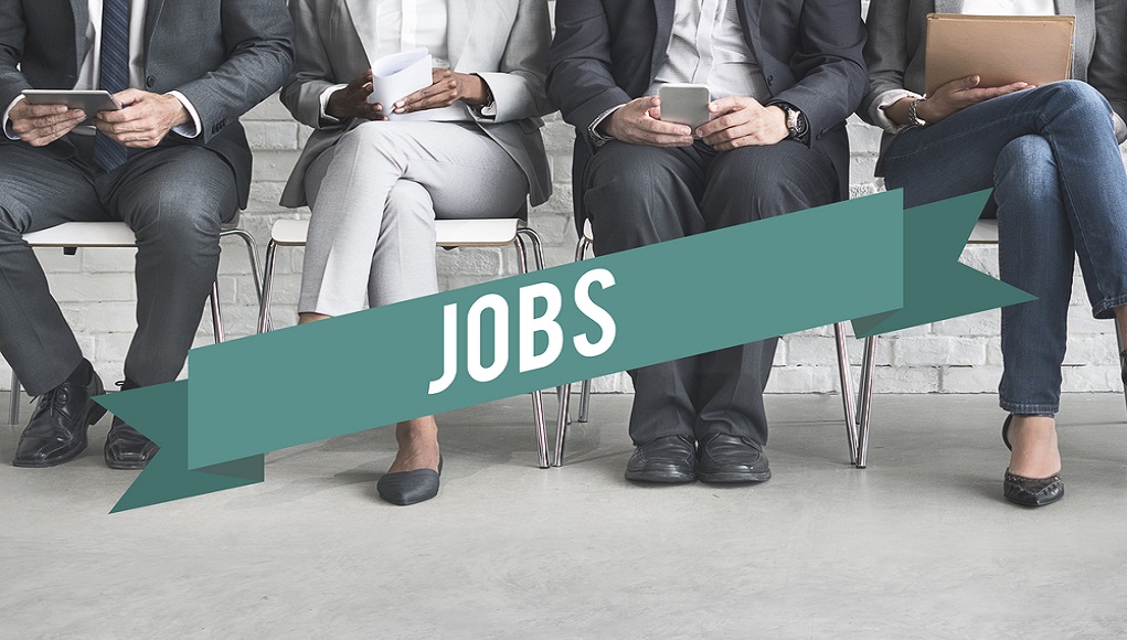 פניה למועמדים בסלולר פניה למועמדים בסלולר