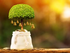 מה המשמעות של דמי ניהול ומקדם – בביטוחים פנסיוניים