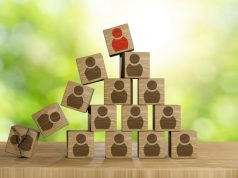 התפרקות המבנה הארגוני המסורתי והמעבר למבנה ארגוני חדש