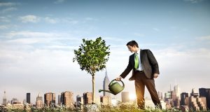 להצמיח שורשים בחברה – כיצד לשמר את העובדים הטובים?! שימור עובדים בחברה