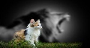 טכניקות מובילות למיתוג מעסיק שיפור מותג המעסיק