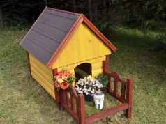 "לא הגעתי לעבודה כיוון שהשתתפתי בלוויה של הכלב" תירוצים של עובדים