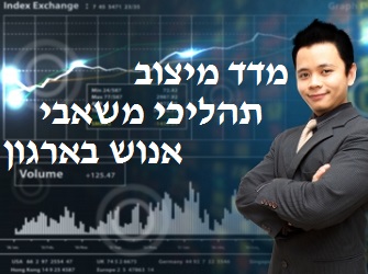 מדד מיצוב תהליכי משאבי אנוש בארגון