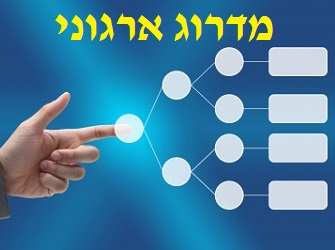 מדרוג ארגוני