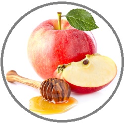 שנה חדשה בפורטל משאבי אנוש