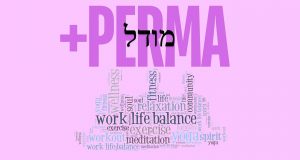 מודל ה- PERMA+